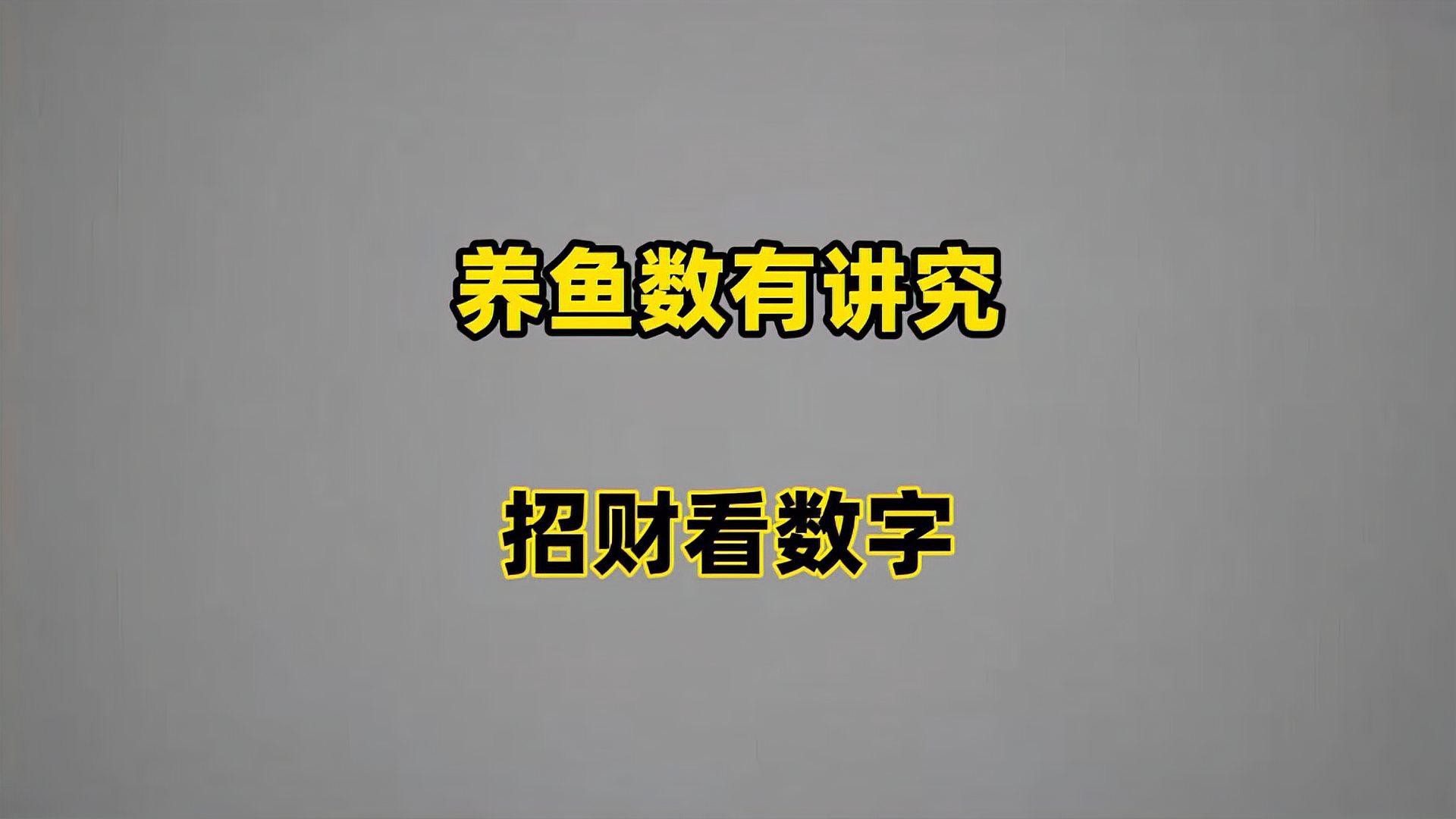 養(yǎng)龍魚養(yǎng)七條還是八條，八條龍魚養(yǎng)多少條吉利民間傳說守護(hù)者02:36養(yǎng)幾條 養(yǎng)龍魚養(yǎng)七條還是八條，八條龍魚養(yǎng)多少條吉利民間傳說守護(hù)者02:36養(yǎng)幾條 龍魚論壇 第6張