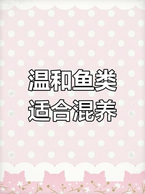 孔雀魚混養(yǎng)最佳搭配圖，孔雀魚可以和哪些觀賞魚混養(yǎng) 孔雀魚混養(yǎng)最佳搭配圖，孔雀魚可以和哪些觀賞魚混養(yǎng) 龍魚百科 第11張