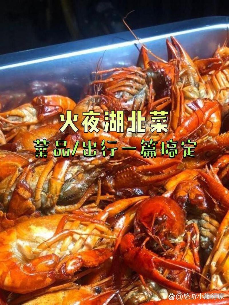 民樂龍魚店，北京旅游網民樂龍魚店有哪些品種品種民樂龍魚店 民樂龍魚店，北京旅游網民樂龍魚店有哪些品種品種民樂龍魚店 全國水族館企業名錄 第2張