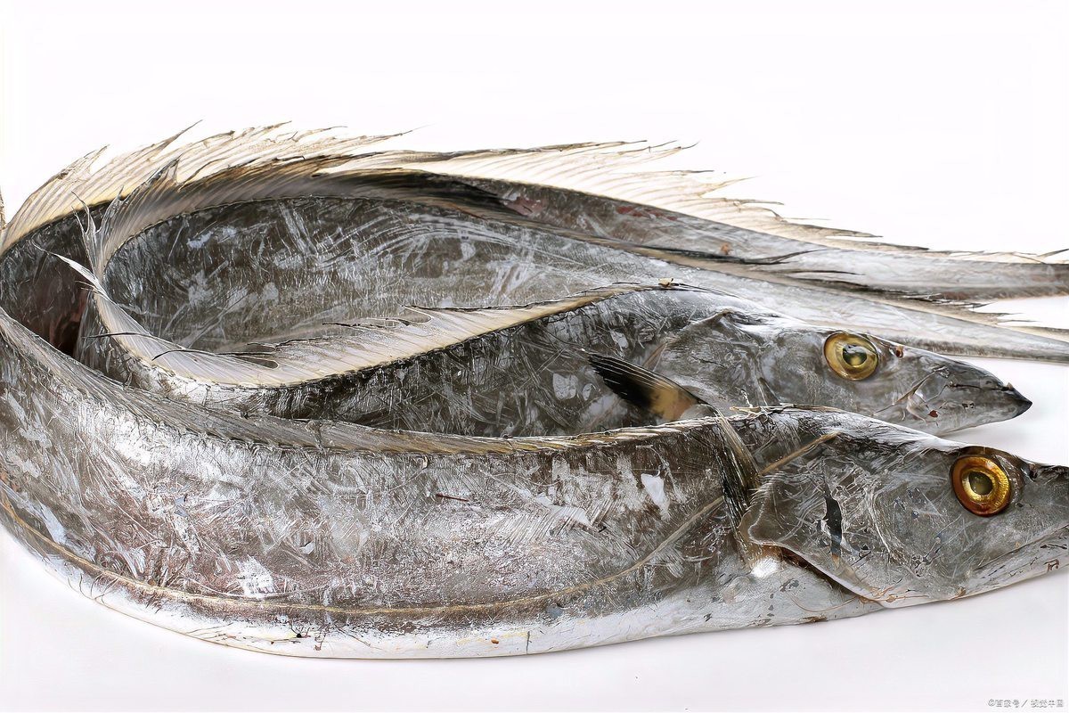 刀魚是帶魚嗎，刀魚與帶魚的區別