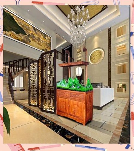 鳳魚吃什么食物，鳳尾魚吃什么食物起航知識(shí)小鳳尾魚飼養(yǎng)全攻略