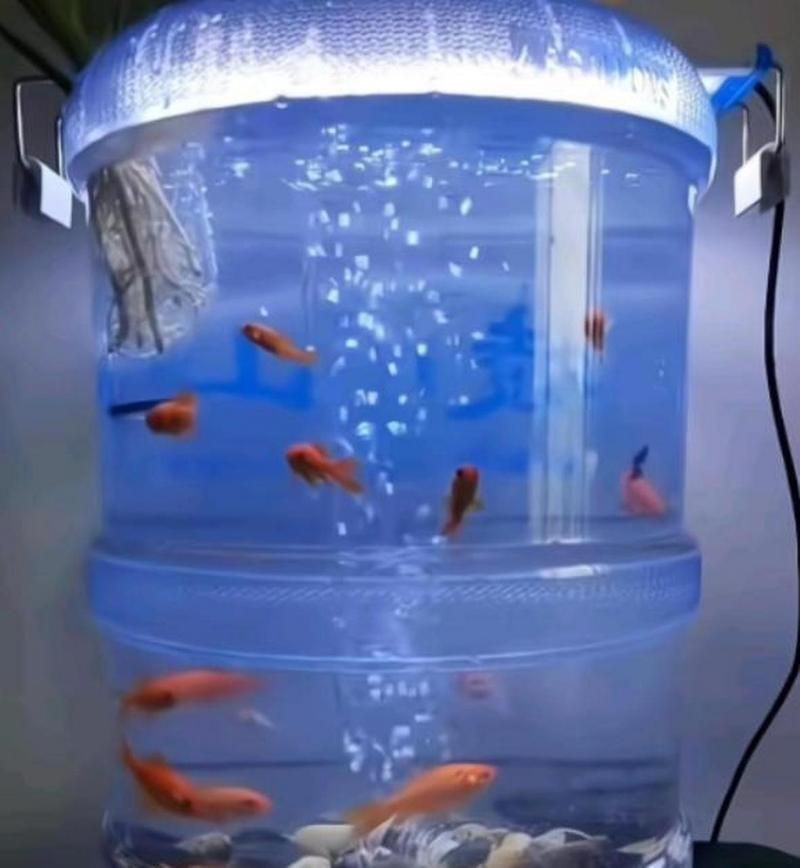 張掖魚缸定做，張掖地區的魚缸定做服務日益受關注多家專業公司提供個性化定制解決方案