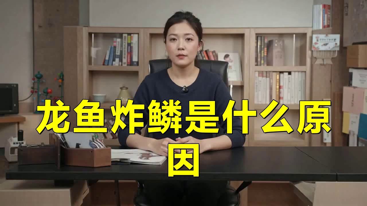 如何預防龍魚松鱗病，養龍必看:龍魚立鱗怎么辦養魚小藝養龍不迷路 如何預防龍魚松鱗病，養龍必看:龍魚立鱗怎么辦養魚小藝養龍不迷路 龍魚百科 第1張