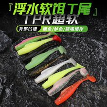 奶茶雷龍魚的價格是多少？，奶茶雷龍魚的價格 奶茶雷龍魚的價格是多少？，奶茶雷龍魚的價格 龍魚百科 第5張