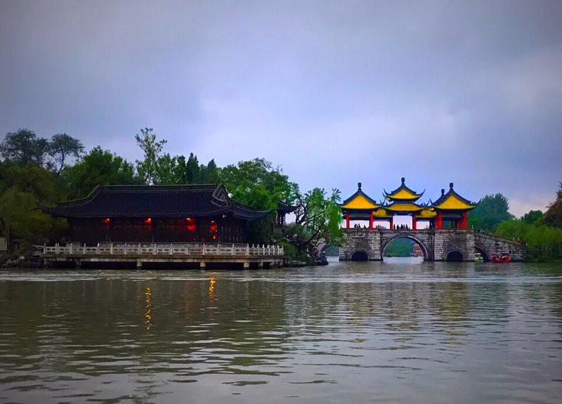 盧氏龍魚店，盧氏地區是否有龍魚專賣店