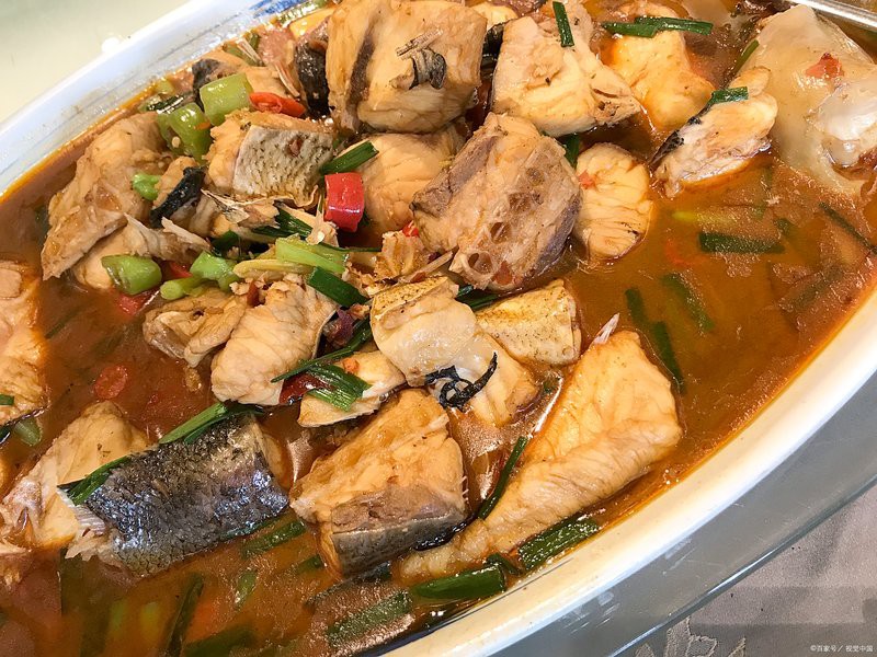 托克托龍魚店，托克托龍魚店專注于觀賞魚養殖與銷售與銷售的特色店鋪 托克托龍魚店，托克托龍魚店專注于觀賞魚養殖與銷售與銷售的特色店鋪 全國水族館企業名錄 第4張