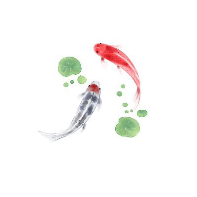 有哪些適合紅龍魚微信頭像的背景？，紅龍魚微信頭像背景推薦 有哪些適合紅龍魚微信頭像的背景？，紅龍魚微信頭像背景推薦 龍魚論壇 第25張