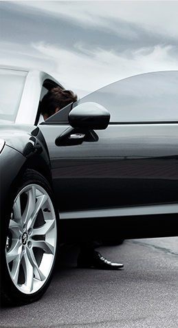 如何確認金龍魚壁紙是否商用授權(quán)？，如何確認金龍魚壁紙是否具備商用授權(quán)