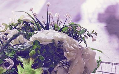 如何確認金龍魚壁紙是否商用授權(quán)？，如何確認金龍魚壁紙是否具備商用授權(quán)