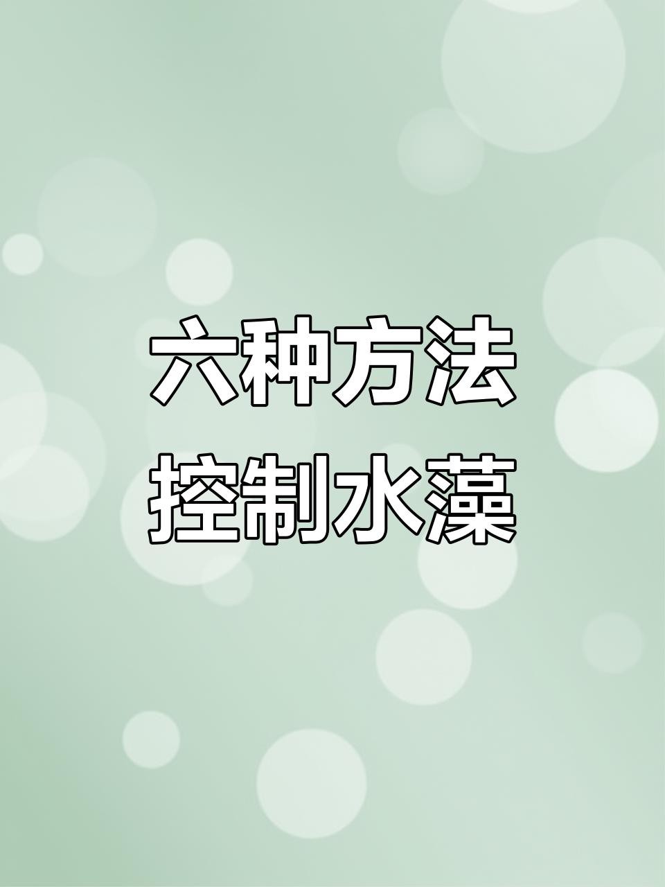 如何控制龍魚缸中的藻類？，如何科學控制魚缸藻類，讓水質更清澈