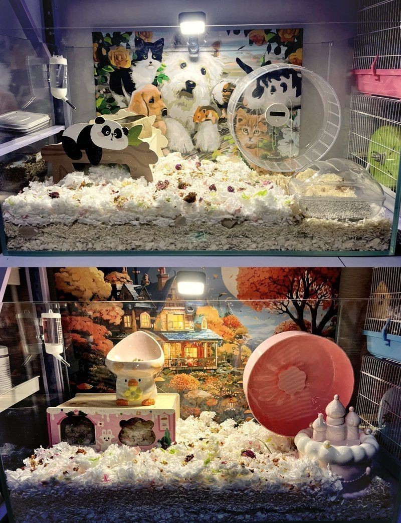 鞍山魚缸定做，鞍山市經(jīng)濟(jì)開發(fā)區(qū)新東利魚缸店(個體工商戶) 鞍山魚缸定做，鞍山市經(jīng)濟(jì)開發(fā)區(qū)新東利魚缸店(個體工商戶) 全國水族館企業(yè)名錄 第6張