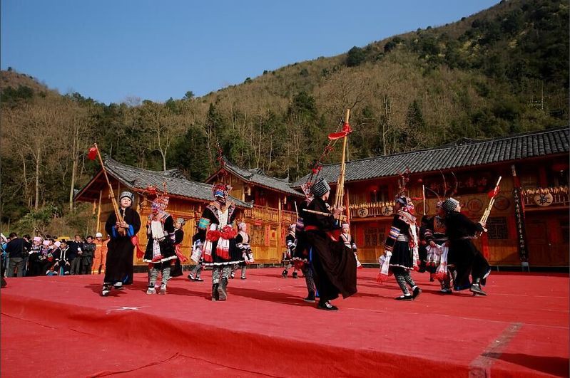 惠水水族店，惠水縣有哪些知名的水族店