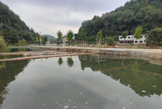 惠水水族店，惠水縣有哪些知名的水族店