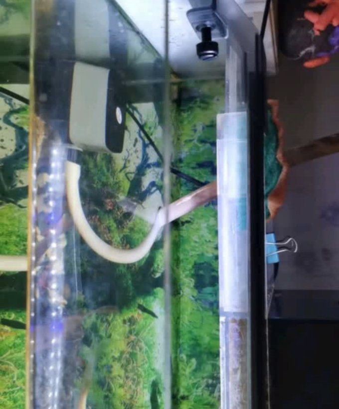 牧龍居水族箱照明燈,牧龍居水族箱led照明燈 龍魚(yú)百科 第6張 牧龍居水族箱照明燈,牧龍居水族箱led照明燈 牧龍居水族箱照明燈,牧龍居水族箱led照明燈 龍魚(yú)百科 第6張