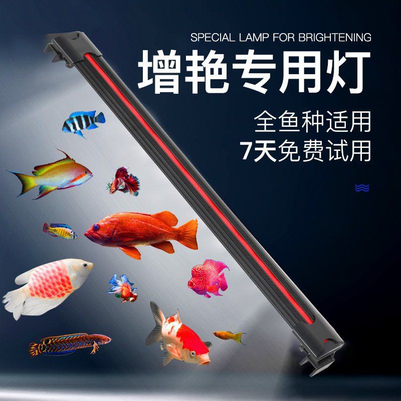 牧龍居水族箱照明燈,牧龍居水族箱led照明燈 龍魚(yú)百科 第1張 牧龍居水族箱照明燈,牧龍居水族箱led照明燈 牧龍居水族箱照明燈,牧龍居水族箱led照明燈 龍魚(yú)百科 第1張