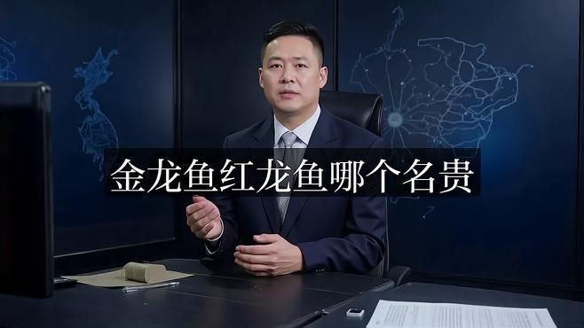 紅龍魚早和晚最貴三個品種，揭秘四種最昂貴的龍魚