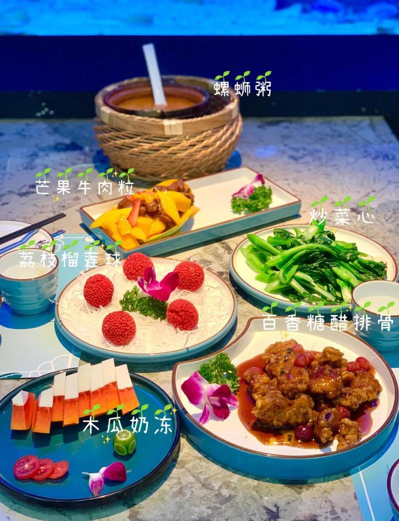 柳南水族店，廣西柳南區(qū)有哪些水族店 柳南水族店，廣西柳南區(qū)有哪些水族店 全國(guó)水族館企業(yè)名錄 第3張