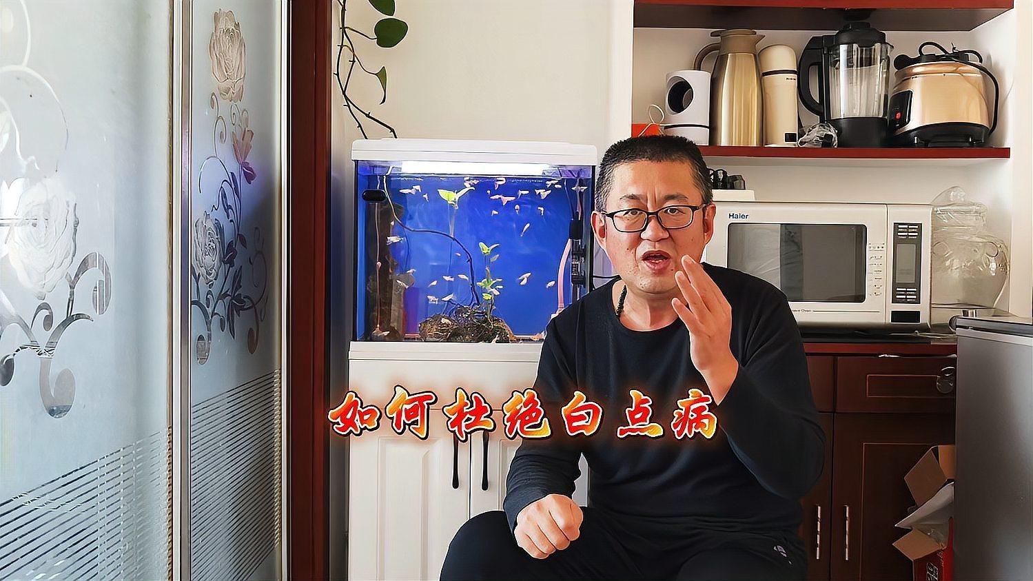 如何預防龍魚眼白點病？，白點病如何預防和治療做好4點，讓它遠離您