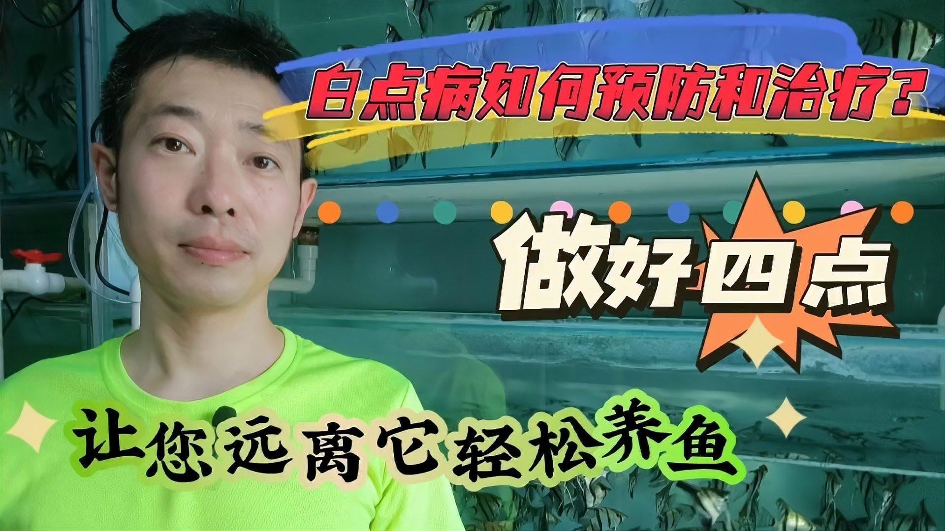 如何預防龍魚眼白點病？，白點病如何預防和治療做好4點，讓它遠離您