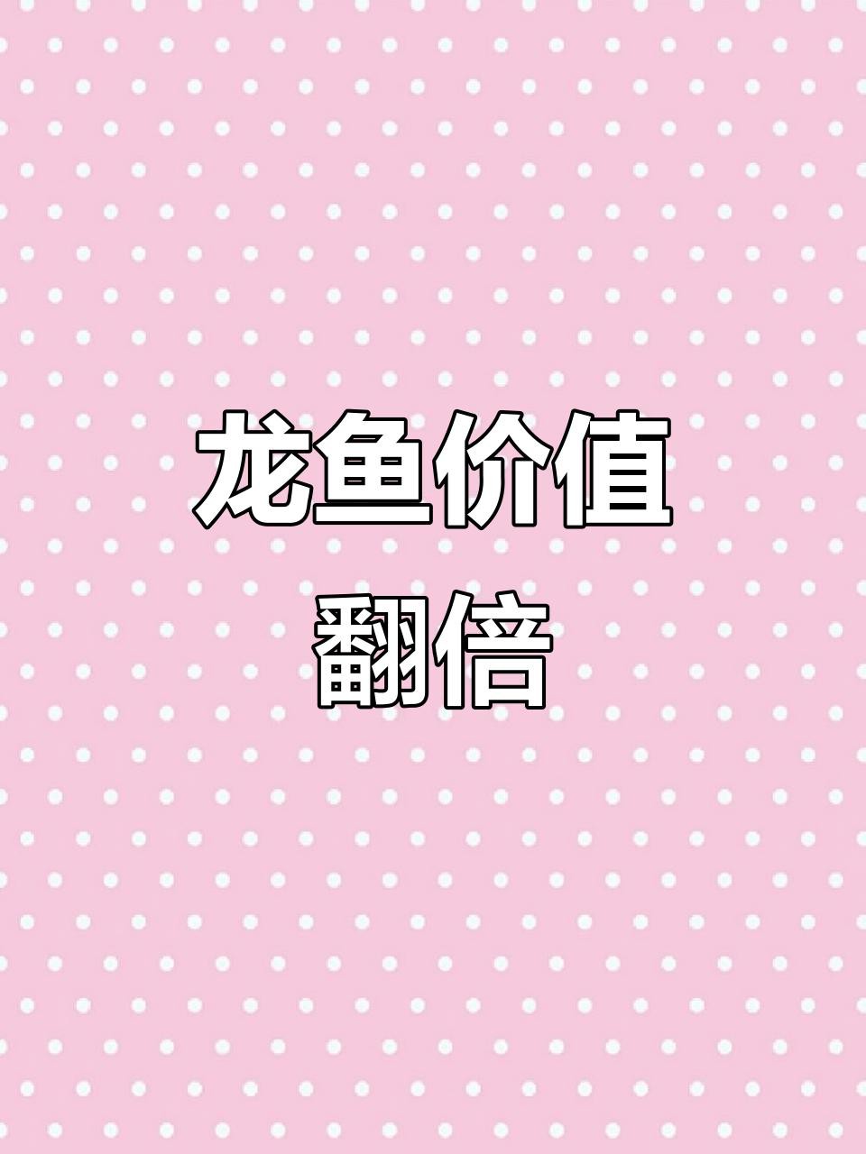 四角龍魚的市場價格波動大嗎？，四角龍魚價格大揭秘從幾千到幾萬你知道嗎智造方程式 四角龍魚的市場價格波動大嗎？，四角龍魚價格大揭秘從幾千到幾萬你知道嗎智造方程式 龍魚百科 第3張