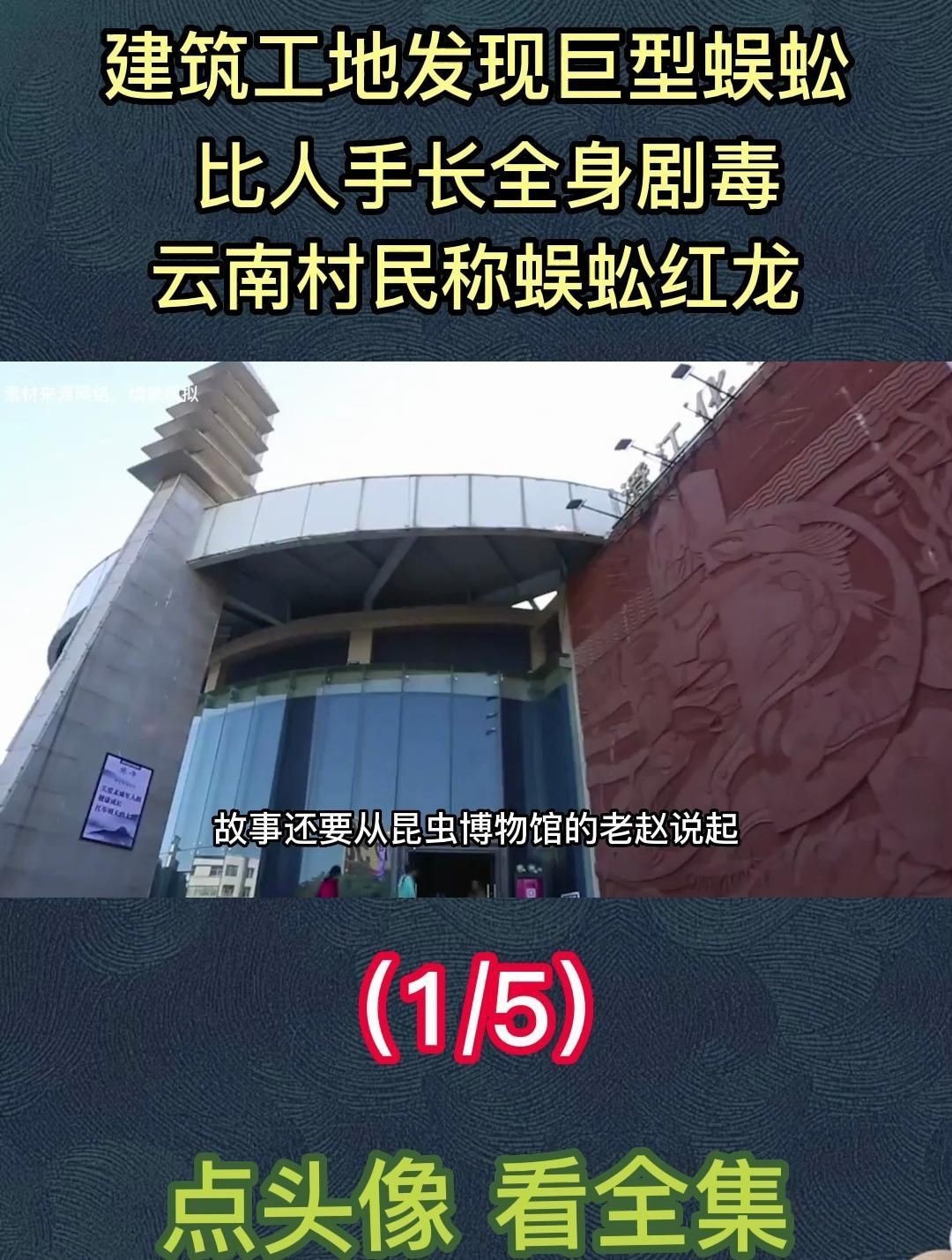 紅龍蜈蚣的具體毒性有多強？，五毒之首的蜈蚣，為何毒不倒大公雞公雞的段位究竟有多強！ 紅龍蜈蚣的具體毒性有多強？，五毒之首的蜈蚣，為何毒不倒大公雞公雞的段位究竟有多強！ 龍魚百科 第4張