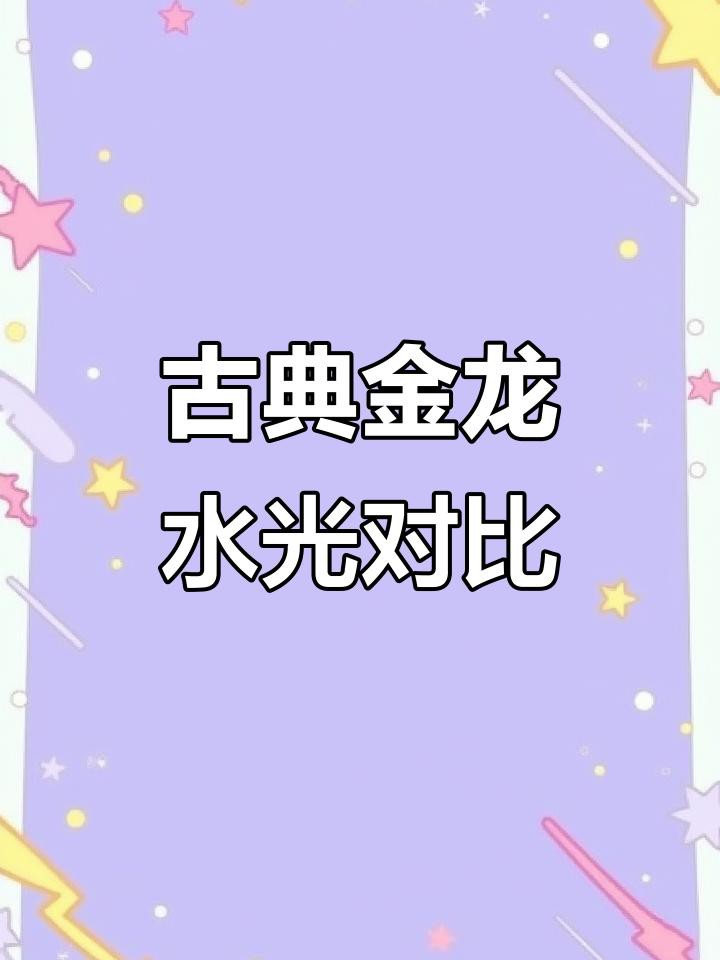 哪種金龍魚更具有觀賞價值？，古典金龍魚出水照與缸內效果對比哪種更吸引你編輯