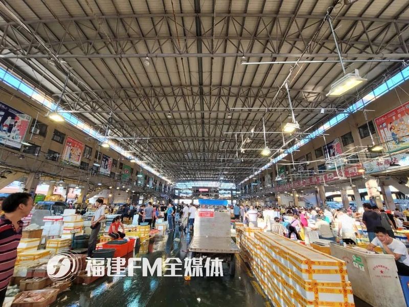 貓鯊一斤多少錢，貓鯊價格受多種因素影響
