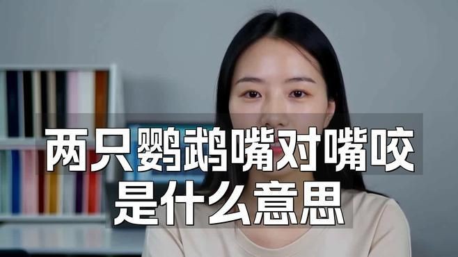 兩只鸚鵡互相咬嘴是在干什么，鸚鵡互相咬嘴是什么意思 兩只鸚鵡互相咬嘴是在干什么，鸚鵡互相咬嘴是什么意思 龍魚百科 第4張