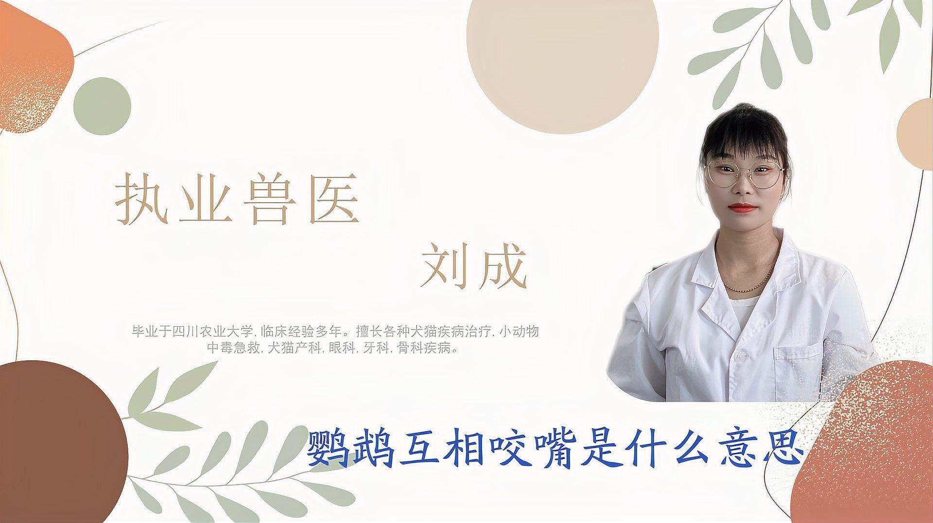 兩只鸚鵡互相咬嘴是在干什么，鸚鵡互相咬嘴是什么意思