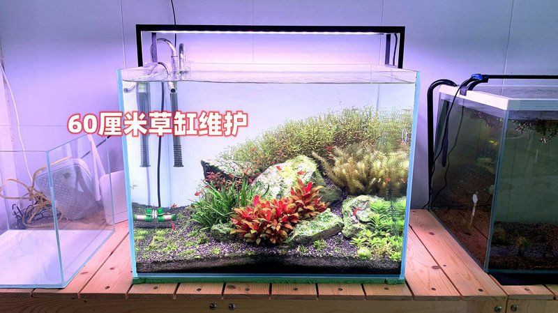 淮安魚缸維護(hù)，淮安地區(qū)的魚缸維護(hù)穩(wěn)定在6.8-7.2區(qū)間要點(diǎn) 淮安魚缸維護(hù)，淮安地區(qū)的魚缸維護(hù)穩(wěn)定在6.8-7.2區(qū)間要點(diǎn) 全國(guó)水族館企業(yè)名錄 第22張