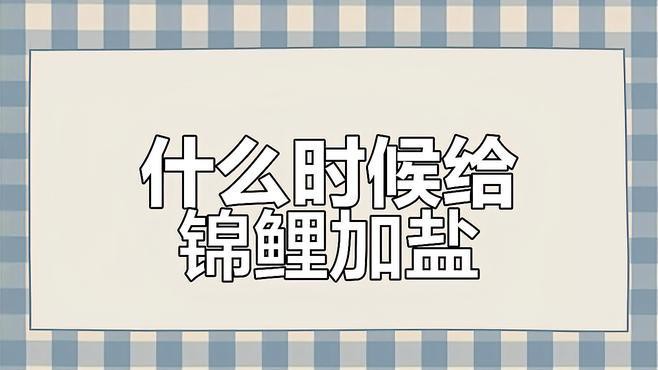 養錦鯉多久加一次鹽，《養錦鯉多久加一次鹽》錦鯉養殖鹽的正確用法及注意事項