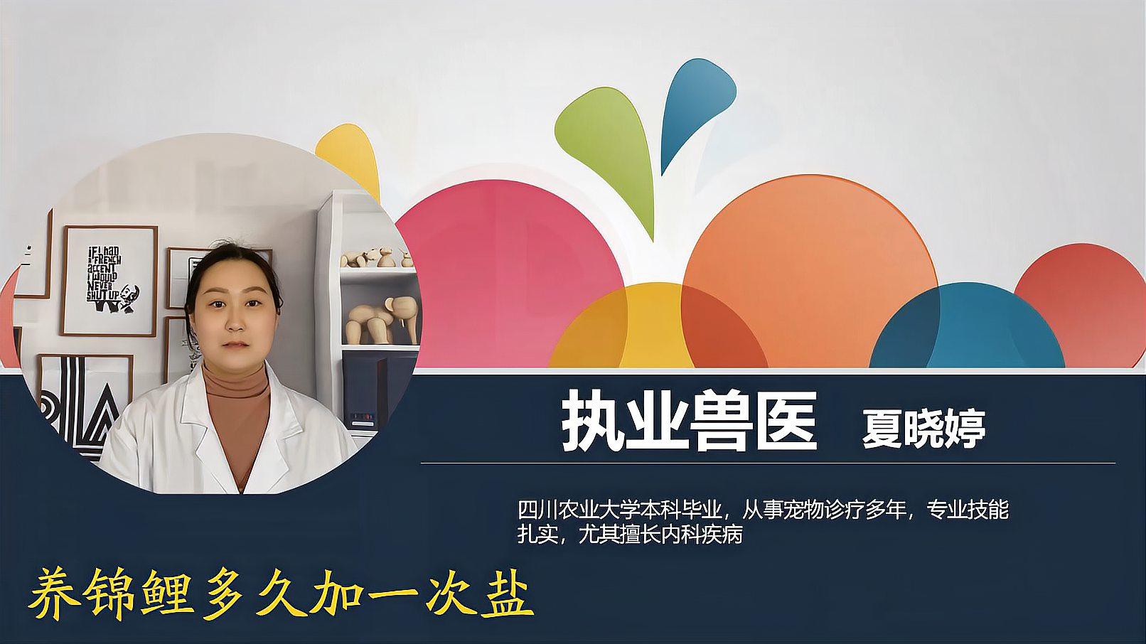 養錦鯉多久加一次鹽，《養錦鯉多久加一次鹽》錦鯉養殖鹽的正確用法及注意事項