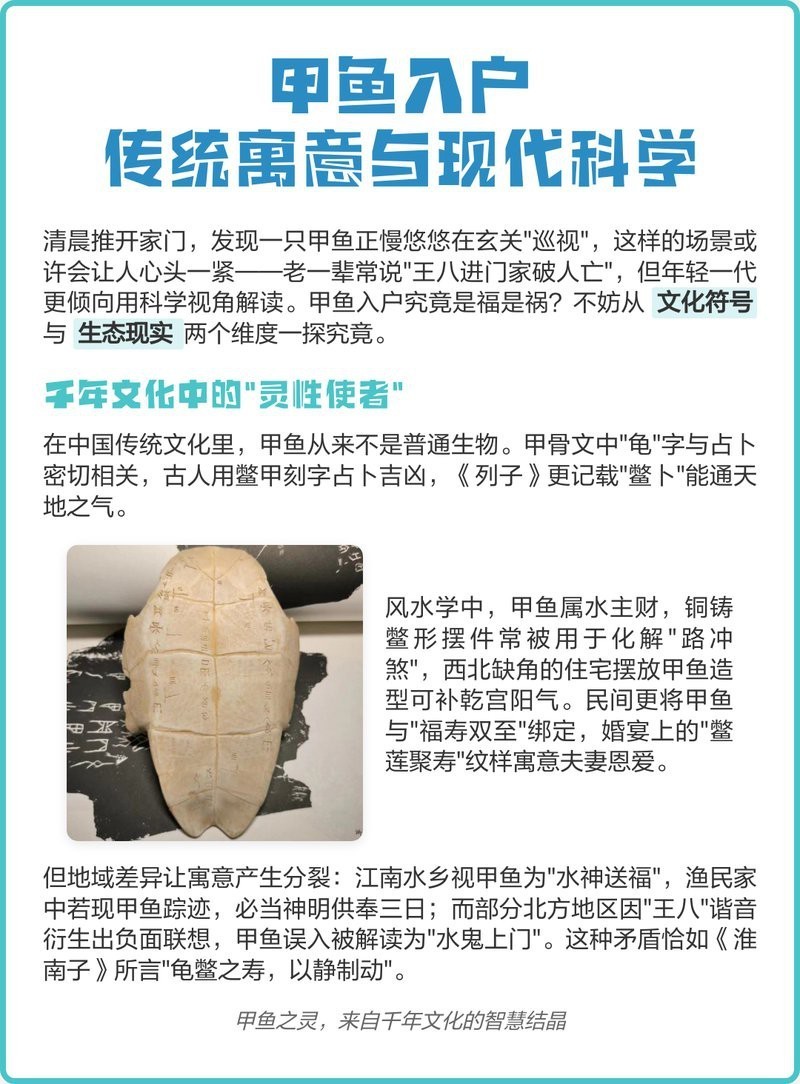 養鱉可以鎮宅嗎， 養鱉可以鎮宅嗎，\
