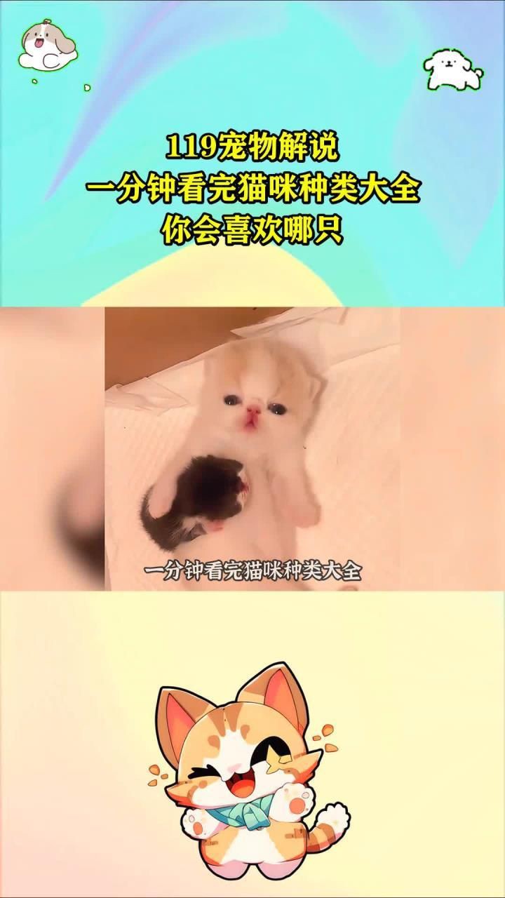 貓的品種大全，貓咪品種大揭秘 貓的品種大全，貓咪品種大揭秘 龍魚百科 第2張