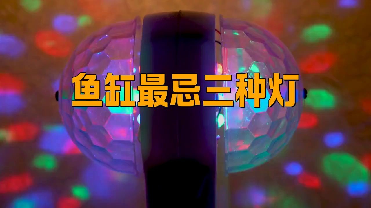 紅龍魚最忌三種燈，《紅龍魚最忌三種燈》 紅龍魚最忌三種燈，《紅龍魚最忌三種燈》 龍魚百科 第3張