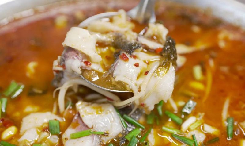 湖州龍魚店，湖州哪家龍魚店口碑最好 湖州龍魚店，湖州哪家龍魚店口碑最好 全國水族館企業名錄 第1張