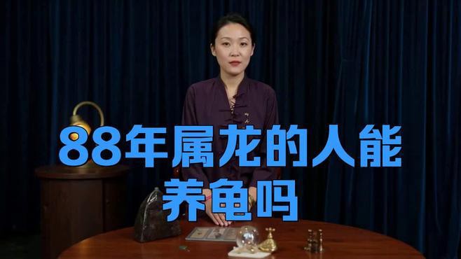 屬龍的人養龜有哪些禁忌？，屬龍人養龜禁忌