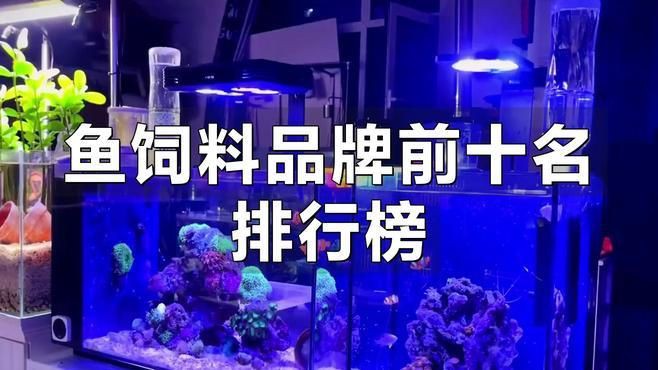 紅龍魚最好的三個(gè)牌子，紅龍魚飼料品牌排行榜