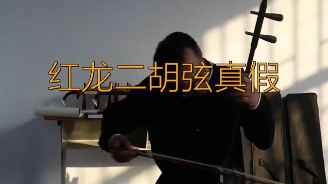 如何辨別國際紅龍的真偽？，教你如何辨別國際紅龍的真偽
