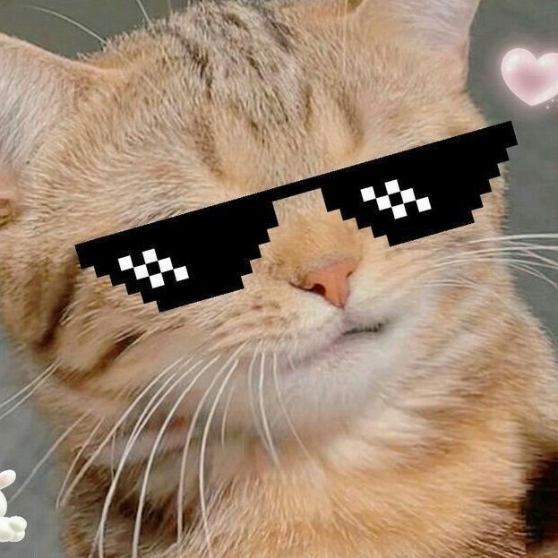 紅勾銀板魚價格2023最新價格表，2023年紅勾銀板魚市場供需情況如何區(qū)分紅勾銀板魚 紅勾銀板魚價格2023最新價格表，2023年紅勾銀板魚市場供需情況如何區(qū)分紅勾銀板魚 龍魚論壇 第7張