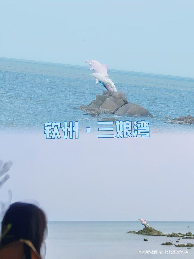 欽州水族館，探秘欽州水族館：一場跨越五洲奇幻之窗的奇幻之旅