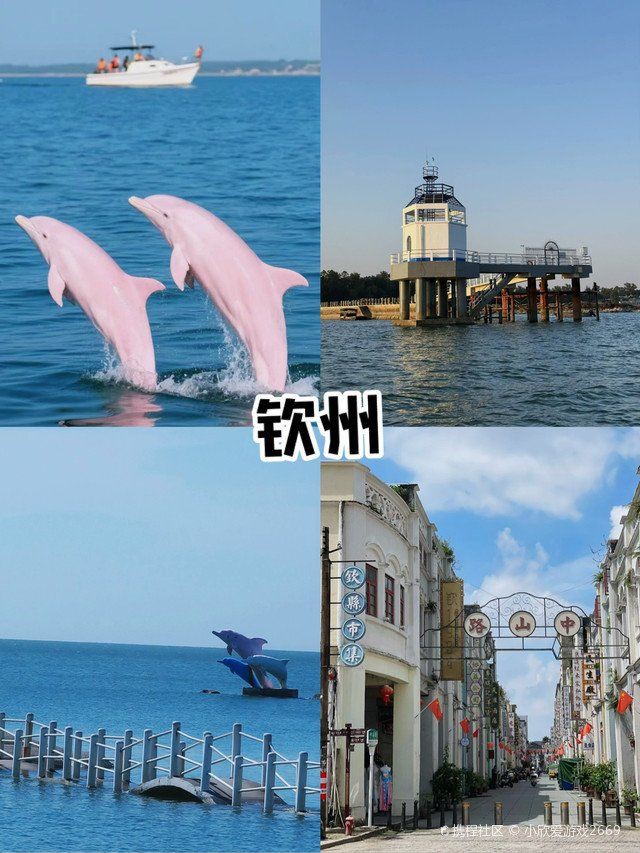 欽州水族館，探秘欽州水族館：一場跨越五洲奇幻之窗的奇幻之旅