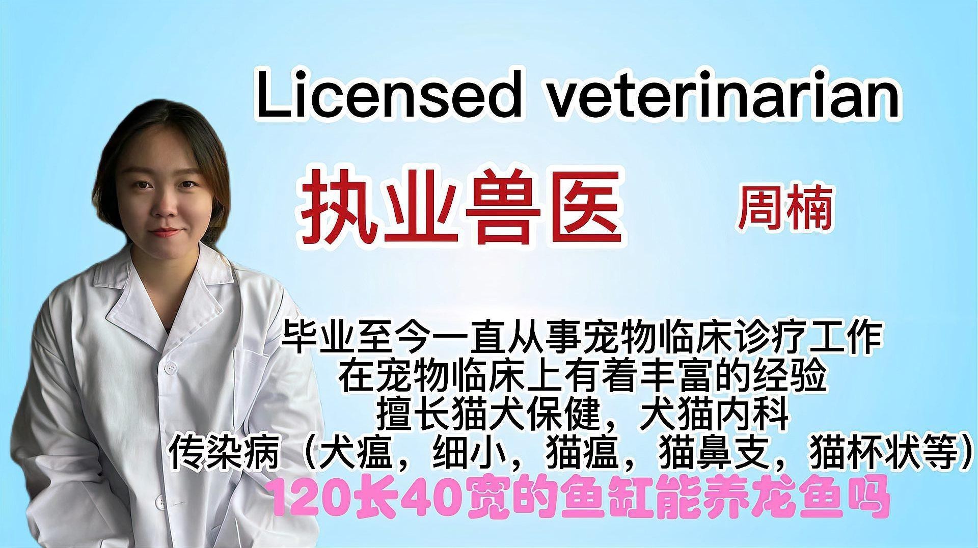 60寬的魚缸可以養龍魚嗎，60寬的魚缸可以養龍魚嗎60寬的魚缸可以養龍魚嗎