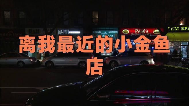 離我最近的小金魚店，《離我最近的小金魚店》
