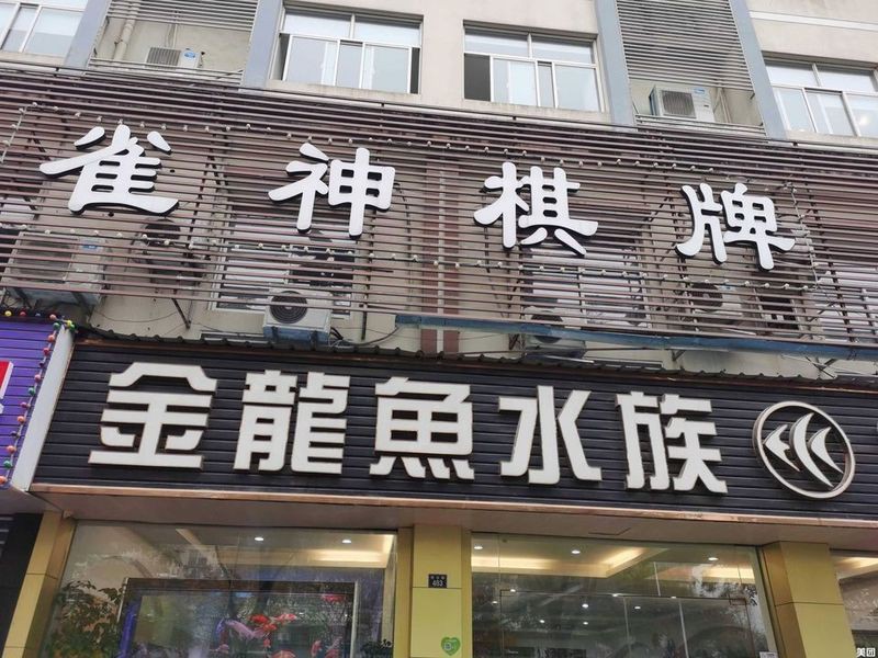 離我最近的小金魚店，《離我最近的小金魚店》