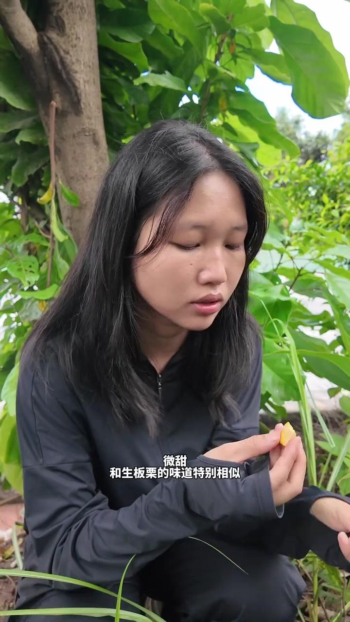 鳳眼果又叫什么名字，鳳眼果在廣東叫什么