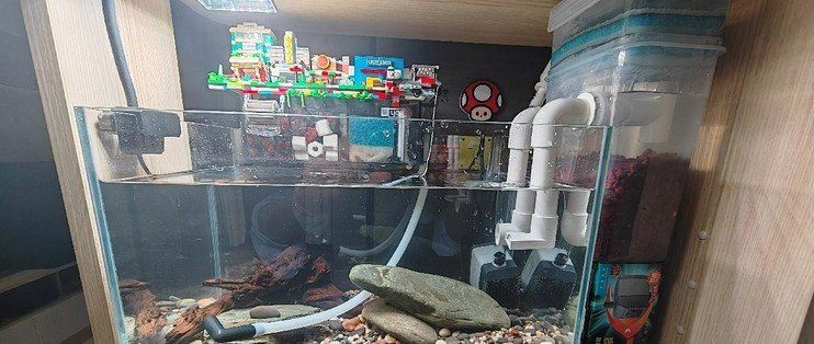 濮陽魚缸批發(fā)市場，濮陽魚缸批發(fā)市場信息綜合信息綜合信息綜合信息整理
