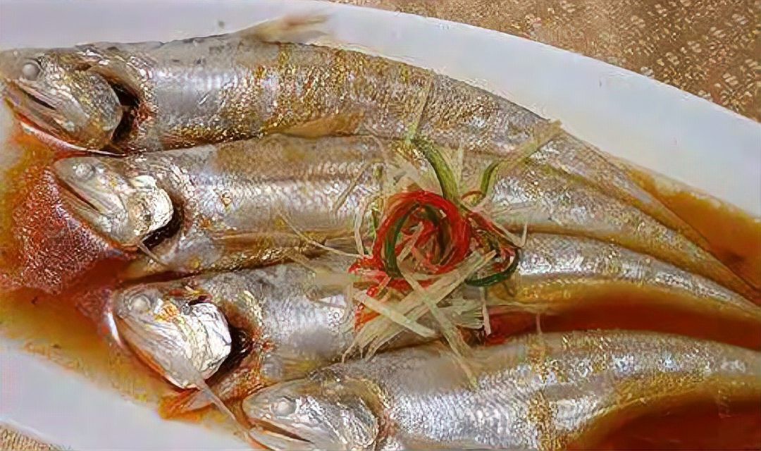 刀魚為什么養殖不了，《刀魚為什么養殖不了》刀魚為什么養殖不了刀魚 刀魚為什么養殖不了，《刀魚為什么養殖不了》刀魚為什么養殖不了刀魚 龍魚論壇 第5張