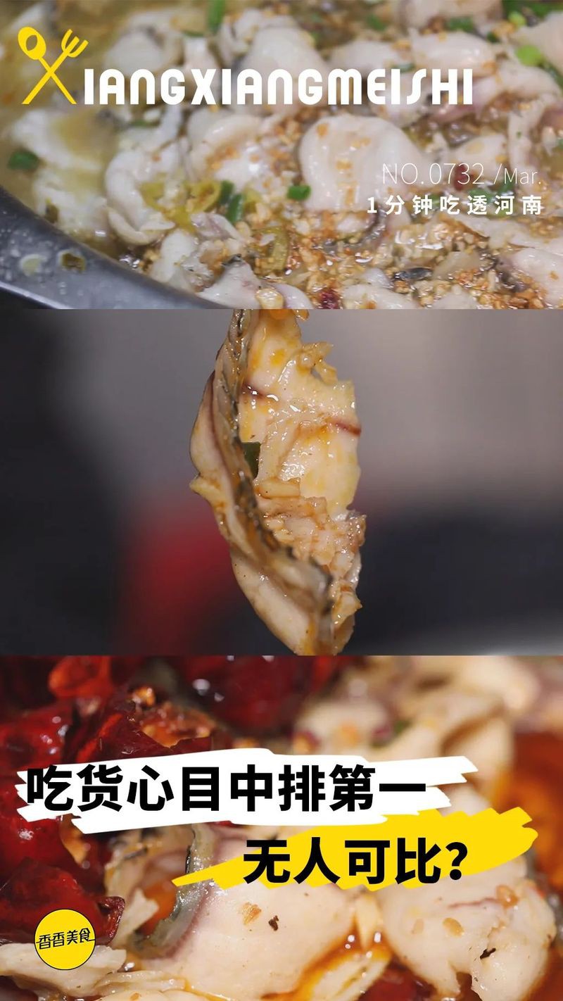 中站龍魚店，焦作中站龍魚店 中站龍魚店，焦作中站龍魚店 全國水族館企業名錄 第3張