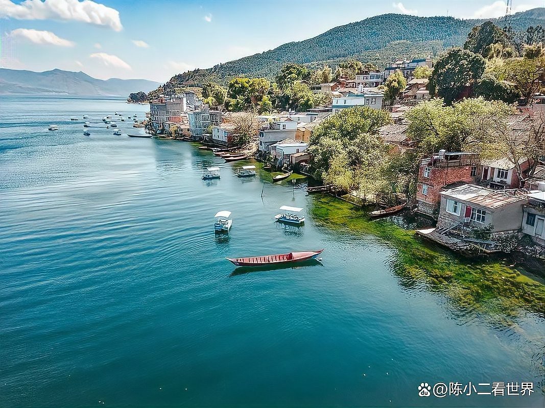 <strong><mark>澄江</mark></strong>龍魚(yú)店，云南<strong><mark>澄江</mark></strong>龍魚(yú)店有哪些特色魚(yú)類有沒(méi)有推薦的高端龍魚(yú)店